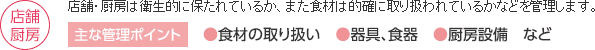 目視調査サービス項目